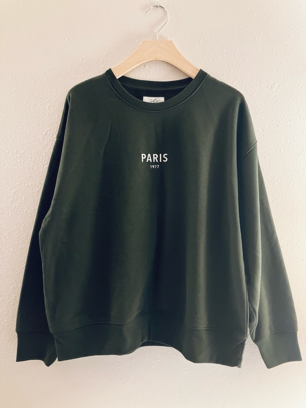 American Eagle Oversized Crewneck Long-Sleeve Sweatshirt Green Paris Medium